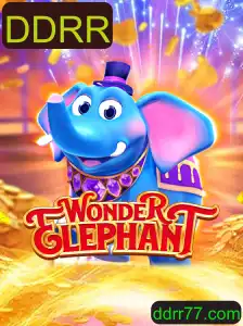 Descubra o Fascinante Mundo de WonderElephant: Regras e Introdução ao Jogo DDRR